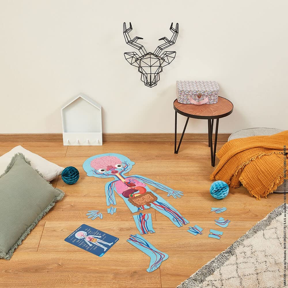 Janod Human Body Puzzle Set - 4 Giant Glow-in-Dark Puzzles