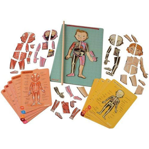 Janod Bodymagnet Human Body Game - 76 Magnets for Anatomy Fun