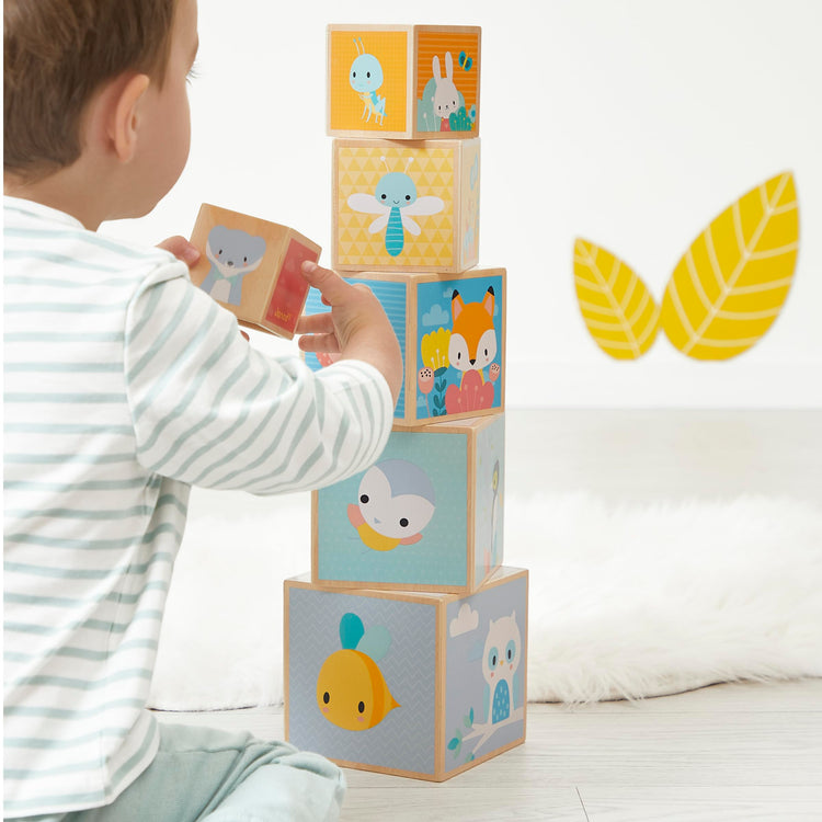Janod First Wooden Pyramid - 6 Cubes for Stacking and Play