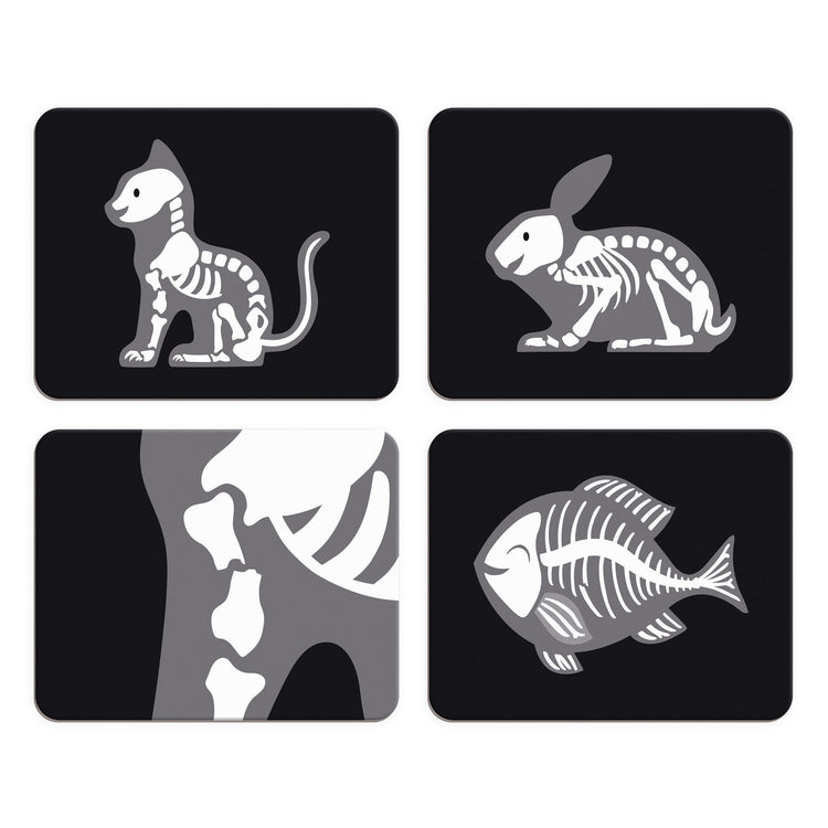 Janod Vet Suitcase - 15-piece Pet Care Kit with X-rays & Badge
