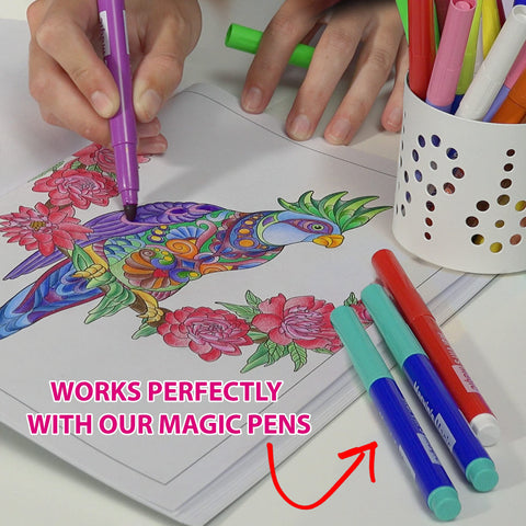 Marvin's Magic Coloring Book & Sketch Pad Bundle - 36 Pages