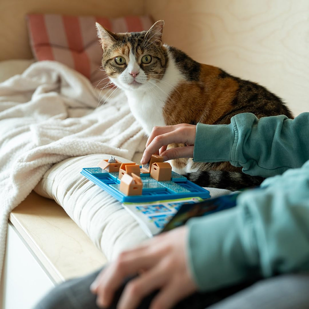 Cats & Boxes Logic Puzzle Game with 60 Challenges