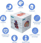 Aliwovo Medical Student Human Anatomy 3.93" Cube Anatomy Poster Set