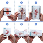 Aliwovo Medical Student Human Anatomy 3.93" Cube Anatomy Poster Set