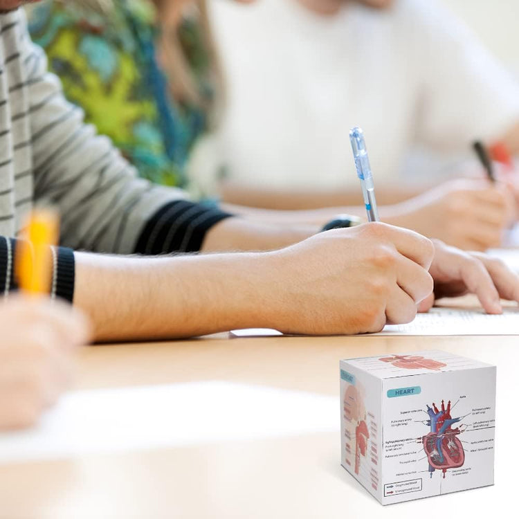 Aliwovo Medical Student Human Anatomy 3.93" Cube Anatomy Poster Set