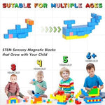Apluses Magnetic Building Blocks Set (42 pcs)