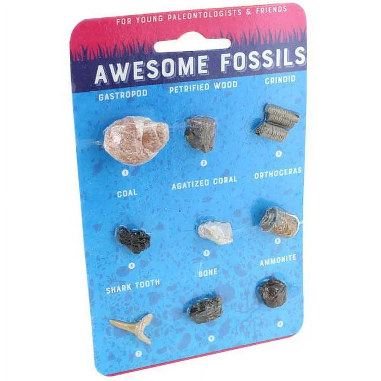 Copernicus Awesome Fossils - Hand-Sized Science Set