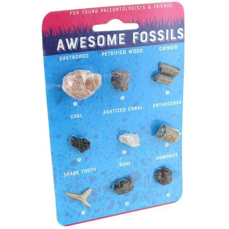 Copernicus Awesome Fossils - Hand-Sized Science Set