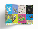 Britannica's Baby Encyclopedia