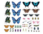 Butterflies Tattoos - 81 Temporary Tattoos