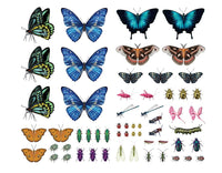 Butterflies Tattoos - 81 Temporary Tattoos image 1