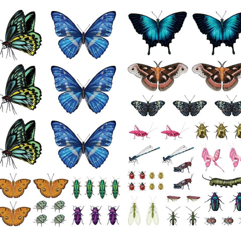 Butterflies Tattoos - 81 Temporary Tattoos