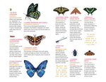 Butterflies Tattoos - 81 Temporary Tattoos