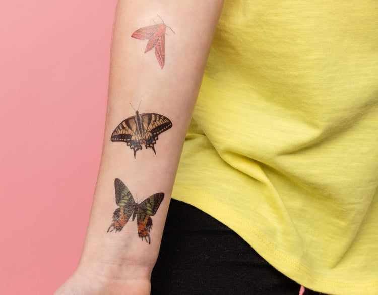 Butterflies Tattoos - 81 Temporary Tattoos