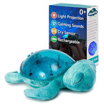 Cloud b Tranquil Turtle Aqua