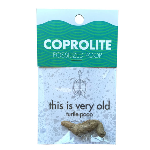 Coprolite - Real Fossilized Poop for Young Geologists