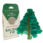 Copernicus Crystal Growing Balsam Fir - Grow a Tree