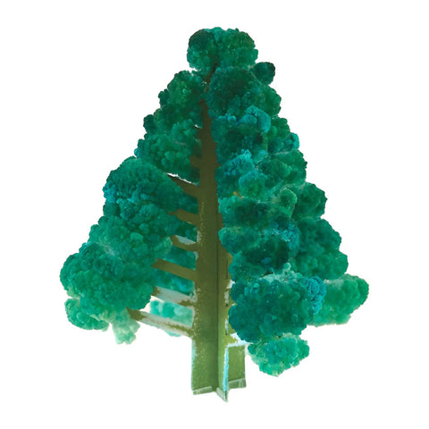 Copernicus Crystal Growing Balsam Fir - Grow a Tree