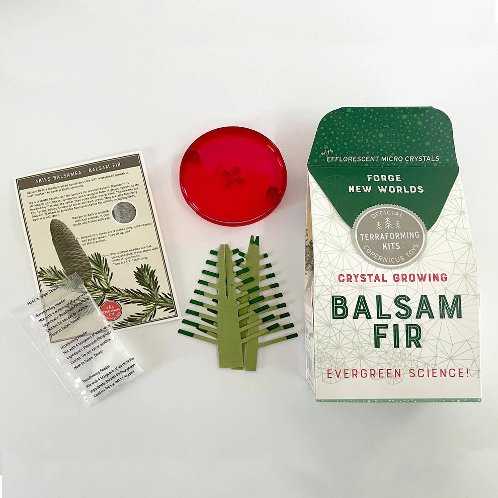 Copernicus Crystal Growing Balsam Fir - Grow a Tree