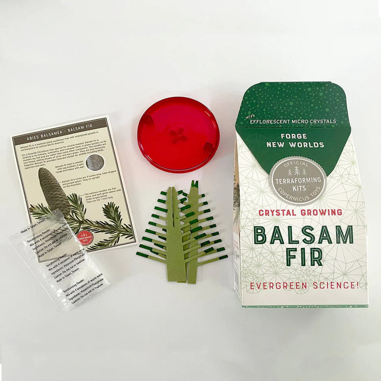Copernicus Crystal Growing Balsam Fir - Grow a Tree
