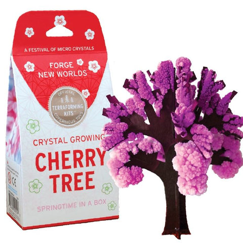 Crystal Growing Cherry Tree - Grow Your Own!