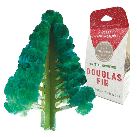 Crystal Growing Douglas Fir - Grow a Sparkling Tree