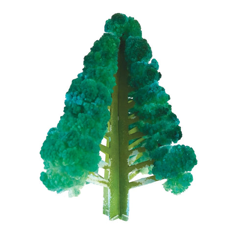 Crystal Growing Douglas Fir - Grow a Sparkling Tree