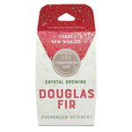 Crystal Growing Douglas Fir - Grow a Sparkling Tree