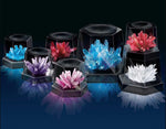 Crystal Growing - Experimental Kit