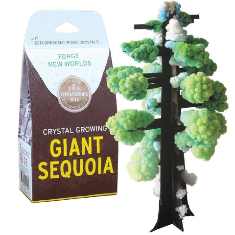 Copernicus Crystal Growing Giant Sequoia - Grow a Tree