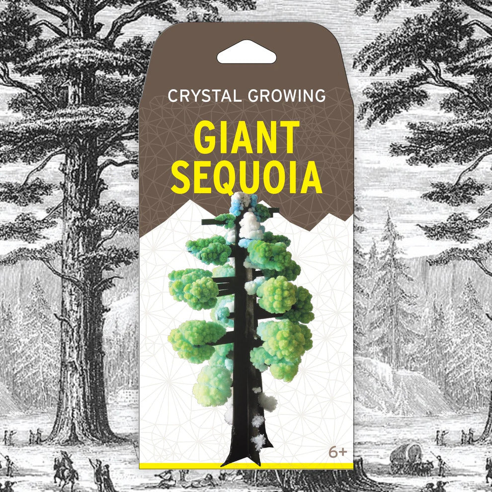 Copernicus Crystal Growing Giant Sequoia - Grow a Tree