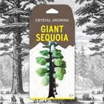 Copernicus Crystal Growing Giant Sequoia - Grow a Tree