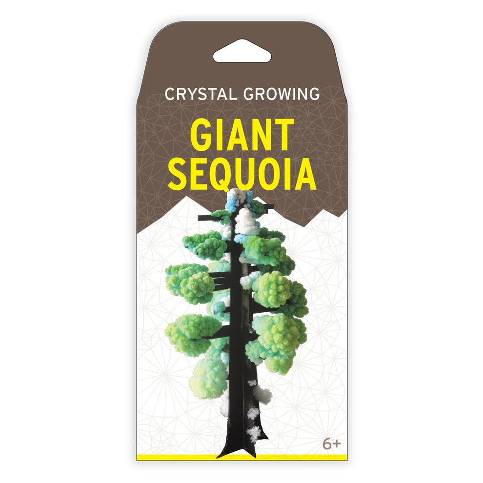 Copernicus Crystal Growing Giant Sequoia - Grow a Tree