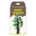 Copernicus Crystal Growing Giant Sequoia - Grow a Tree