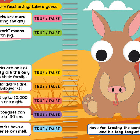 Buddy & Barney Draw Learn Play Wild Animals - Reusable Fun
