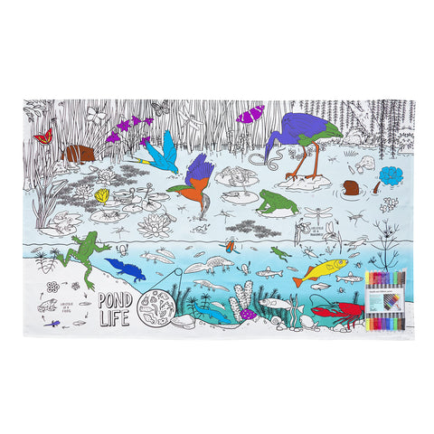 Coloring Wildlife Tablecloth - Pond Life Facts - eatsleepdoodle