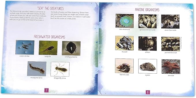 Educational Insights Nancy B's Science Club AquaScope