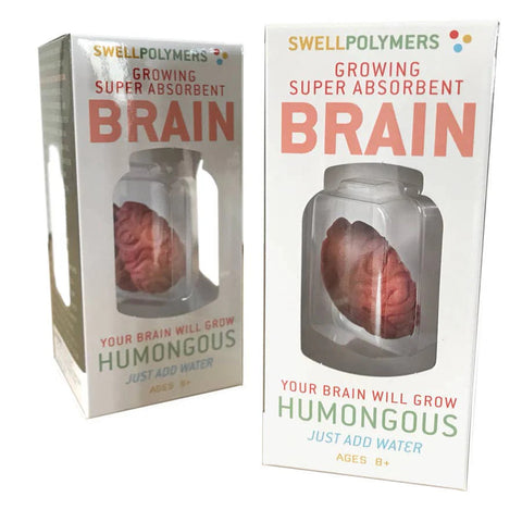 Copernicus Extra Large Swell Polymer Brain - Grows Big