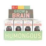 Copernicus Extra Large Swell Polymer Brain - Grows Big