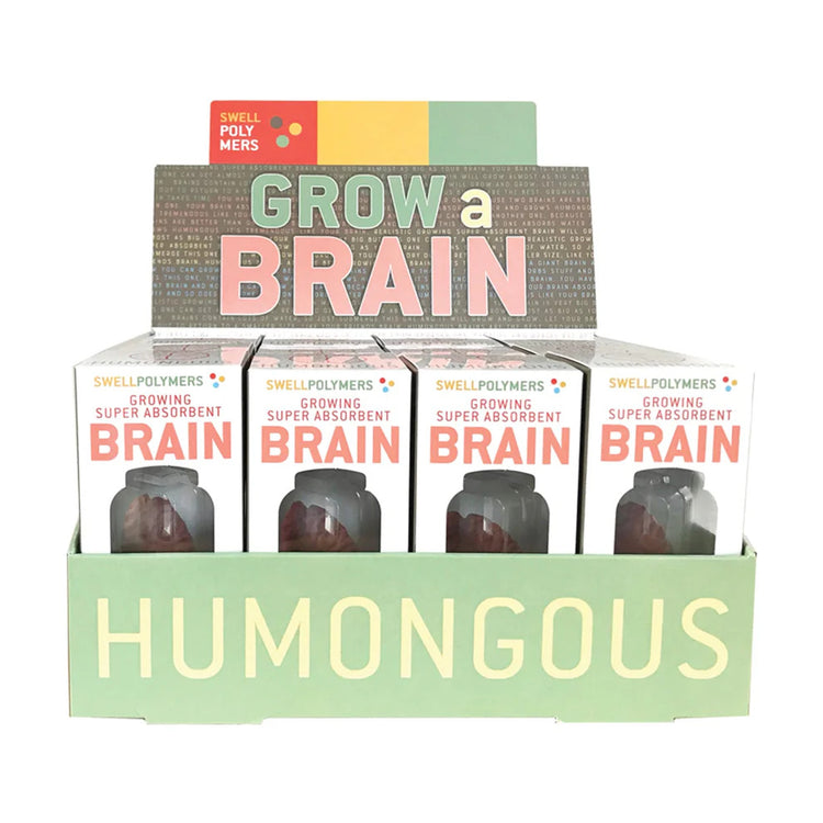 Copernicus Extra Large Swell Polymer Brain - Grows Big