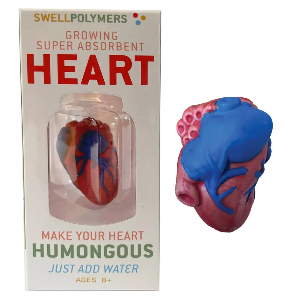 Extra Large Swell Polymer Heart - Watch It Grow Huge