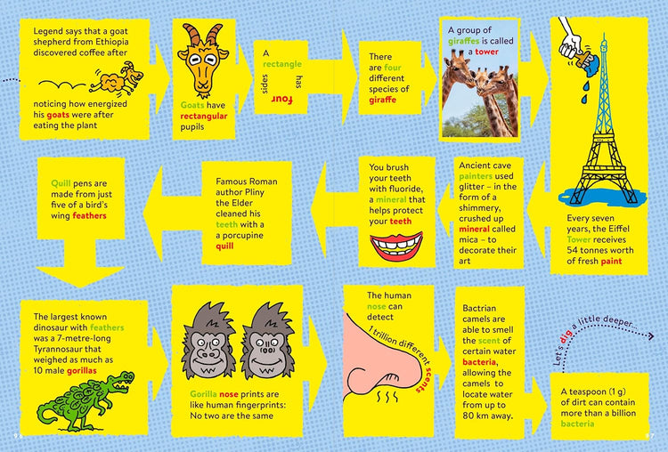 FACTopia!: Follow the Trail of 400 Facts