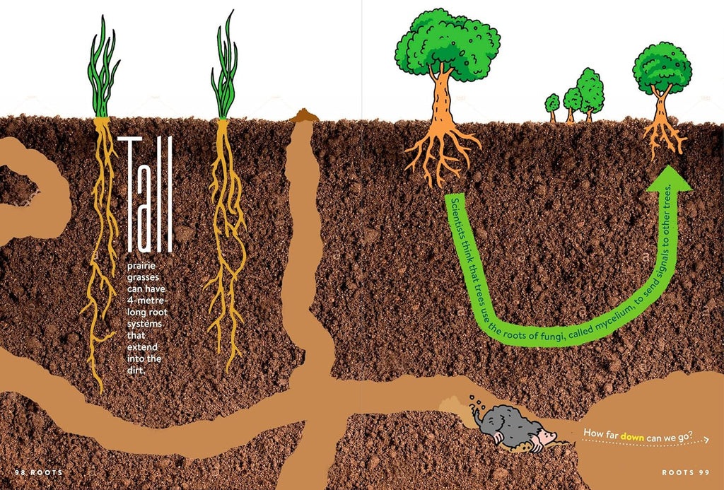 FACTopia!: Follow the Trail of 400 Facts