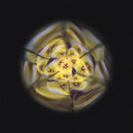 Janod Flower Kaleidoscope - Wooden Nature Pattern Maker