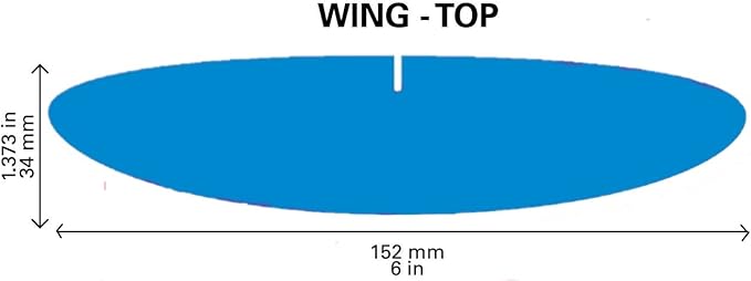 Fun Express Shark Glider