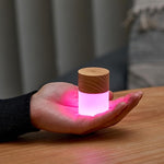 Gingko Lemelia Mini Light