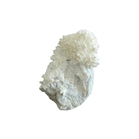 Copernicus Growing Crystals - Make Your Own Crystal Lab