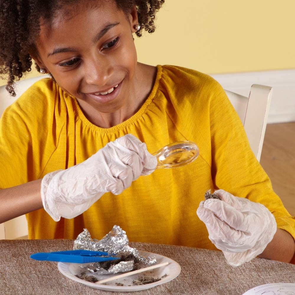 hand2mind Animal Science Kit