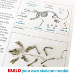 hand2mind Animal Science Kit