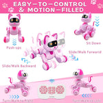Hitish Remote Control Robot Cat